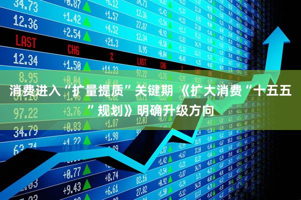消费进入“扩量提质”关键期 《扩大消费“十五五”规划》明确升级方向