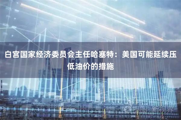 白宫国家经济委员会主任哈塞特：美国可能延续压低油价的措施