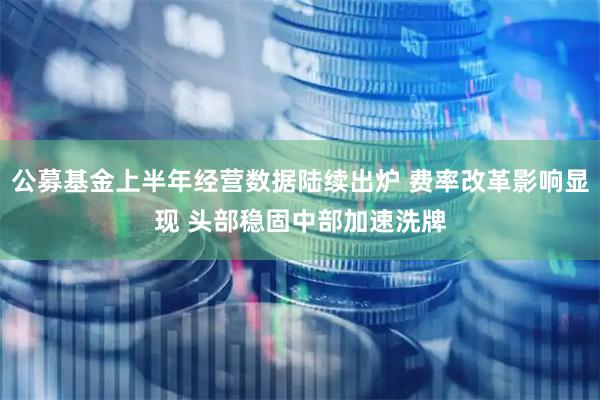 公募基金上半年经营数据陆续出炉 费率改革影响显现 头部稳固中部加速洗牌